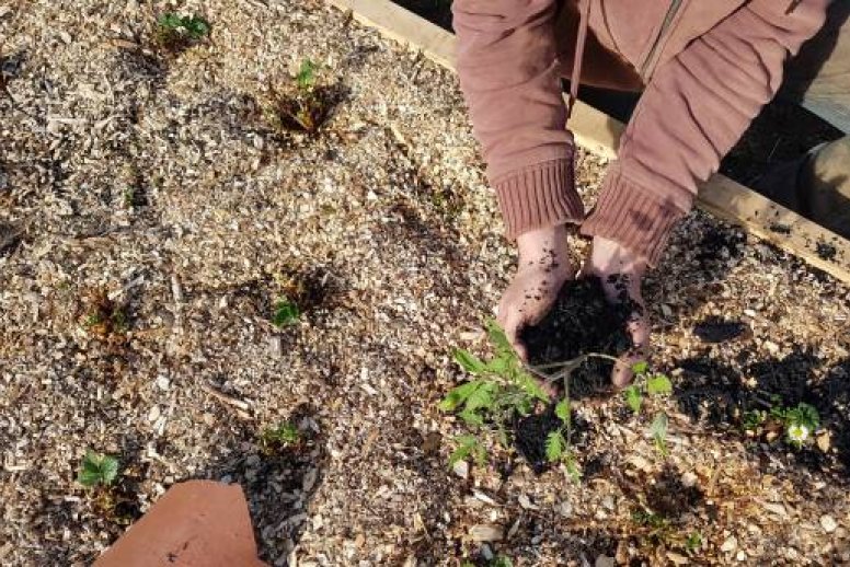 What is Biochar? | Anergy