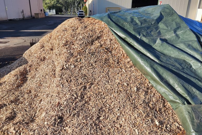 What is Biomass Energy? | Anergy